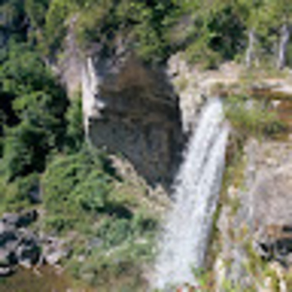 Meet your Posher, Ryan - Picture 1 of 1